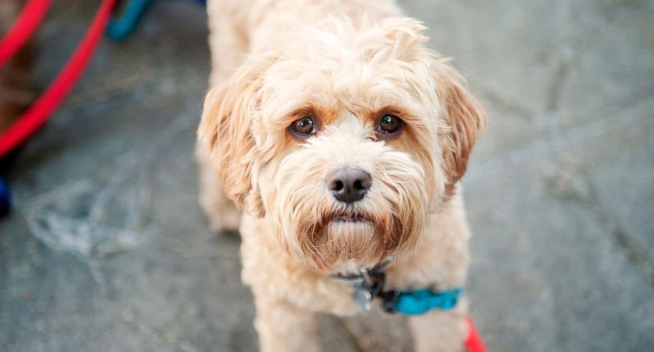 xr:d:DAFQJu6vYMk:204,j:590389410084409930,t:24020618